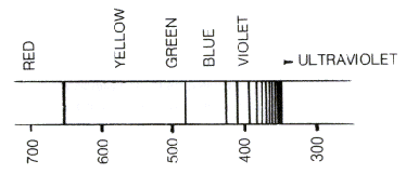 Visible light spectrum of hydrogen atoms (the Balmer series).